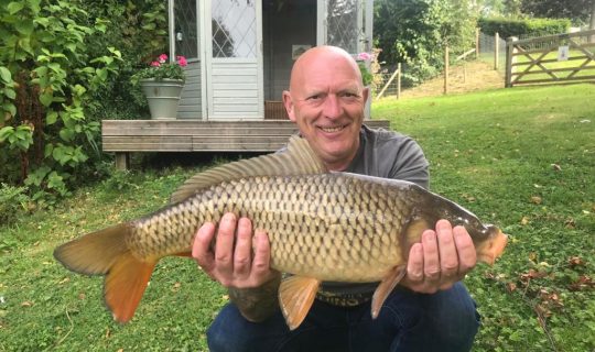 Great scale pattern on this Common Carp