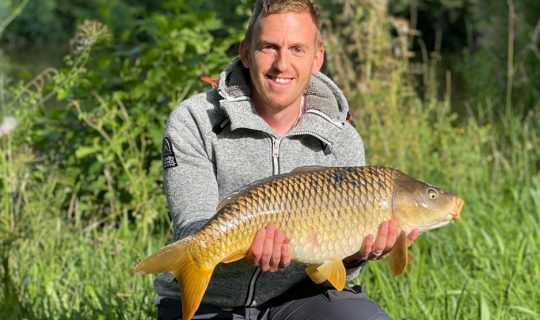 Another clean Common Carp