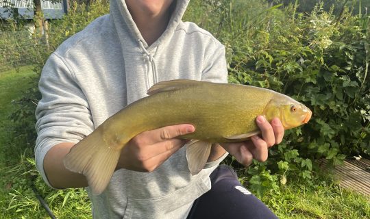 Happy guest with beautiful, healthy Tench