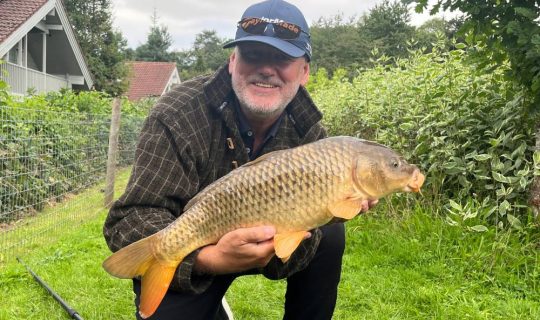 Clean and healthy common carp