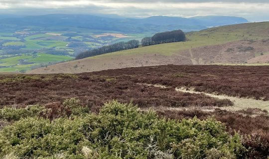 Views of Exmoor from The Quantocks