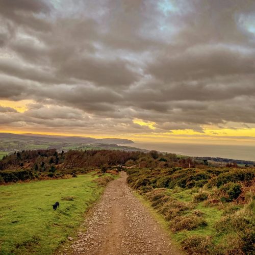 autumn walks