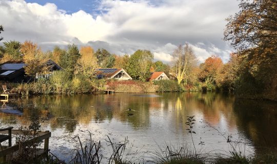 mill meadow lodges in someset in autumn