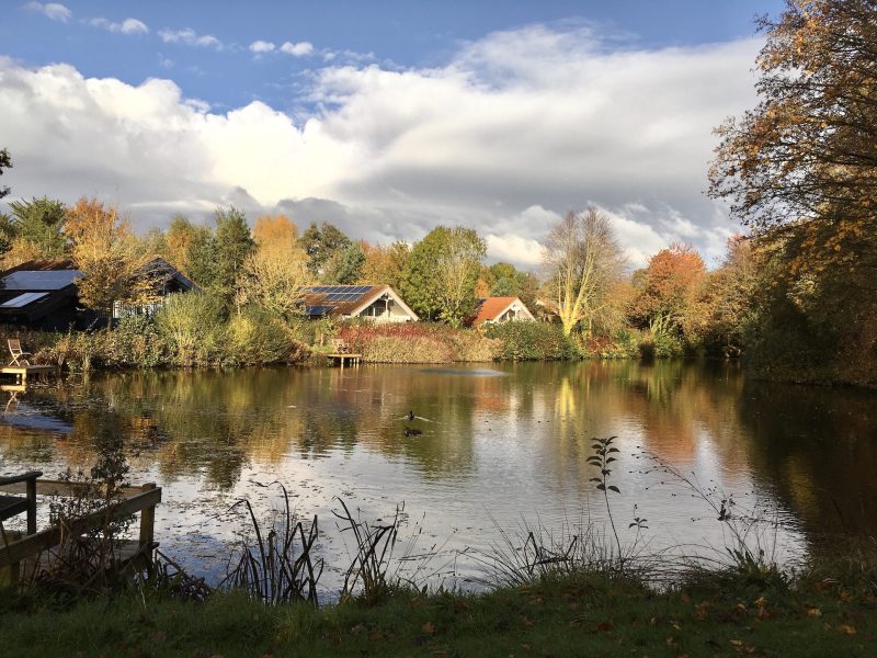 mill meadow lodges in someset in autumn