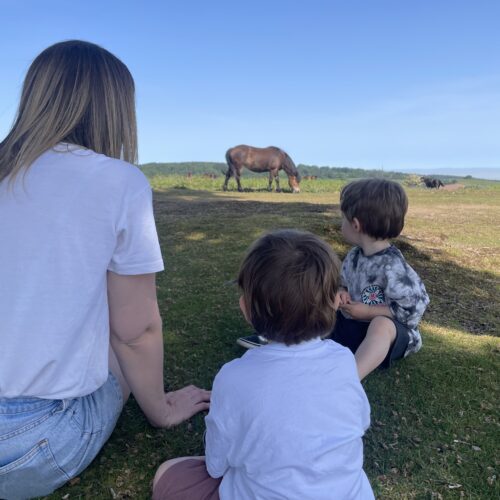 Family watching Exmoor ponies on Cothelstone Hill
