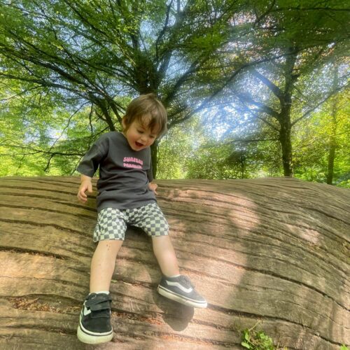 Forest fun at Fyne Court