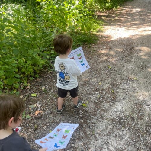 Two kids taking part in the butterfly trial at Hestercombe House and Gardens