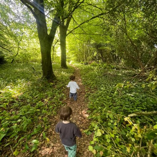 Boys exploring the The Spinney ancient woodland
